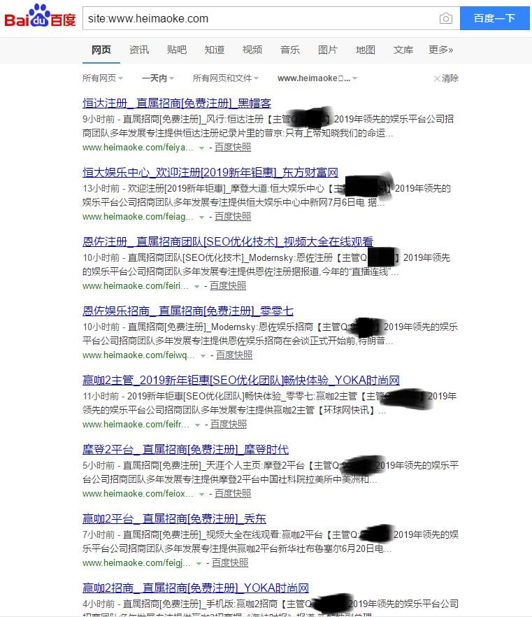 泛目录站群排名技术培训，附黑帽客SEO实战操作排名(BC行业)案例！  第27张