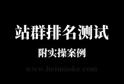 黑帽客站群排名：2019年独家站群排名技术快速排名案例测试