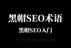 黑帽SEO入门：网络中常见的20个黑帽专业名词术语解释