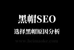 黑帽SEO入门：为什么要选择做黑帽SEO优化