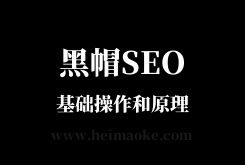 黑帽SEO入门：怎么做黑帽SEO优化