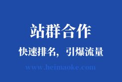 2019独家站群排名技术：灰色词快速批量排名，引爆流量！